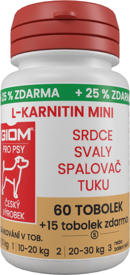 GIOM L-carnitine Active 60 capsules MINI  + 25 % extra free