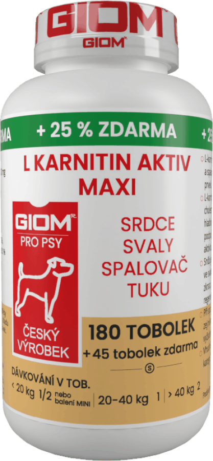 GIOM L-carnitine Active 60 capsules MAXI  + 20% extra free