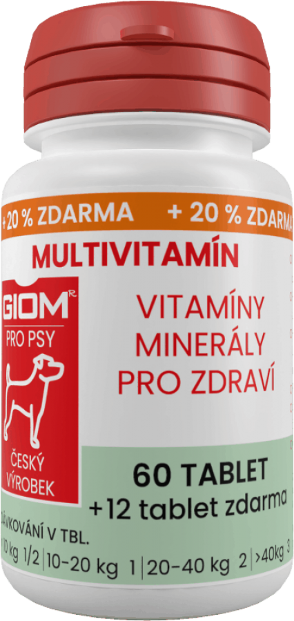 GIOM Multivitamin 60 tablets  + 20% extra free